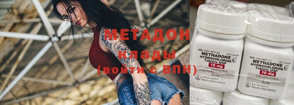 прущие грибы Усинск