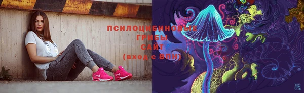 прущие грибы Хадыженск