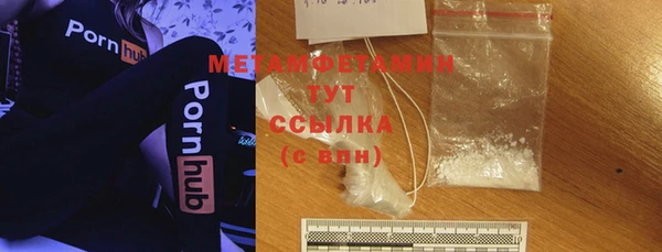 прущие грибы Хадыженск