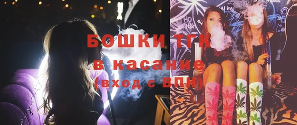 прущие грибы Хадыженск