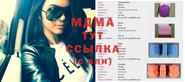 прущие грибы Хадыженск