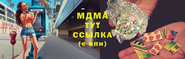 прущие грибы Хадыженск